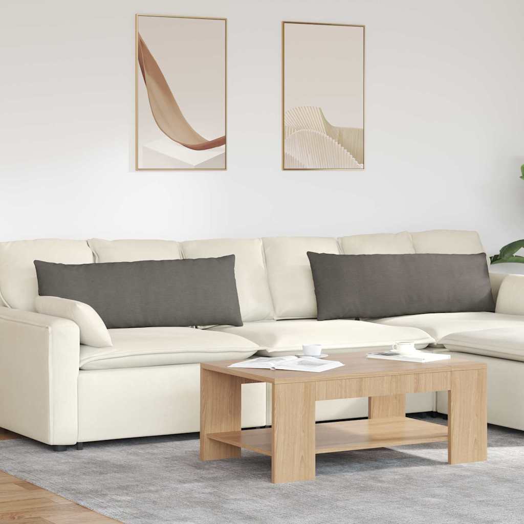 Jastučići za sofu 2 pcs Svijetlo siva 120 x 40 cm