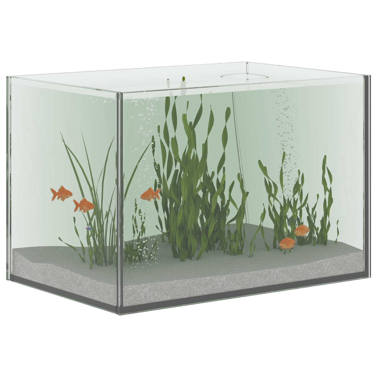 Akvarij s pohranom *Transparent*an 30 x 20 x 20 cm Stakl