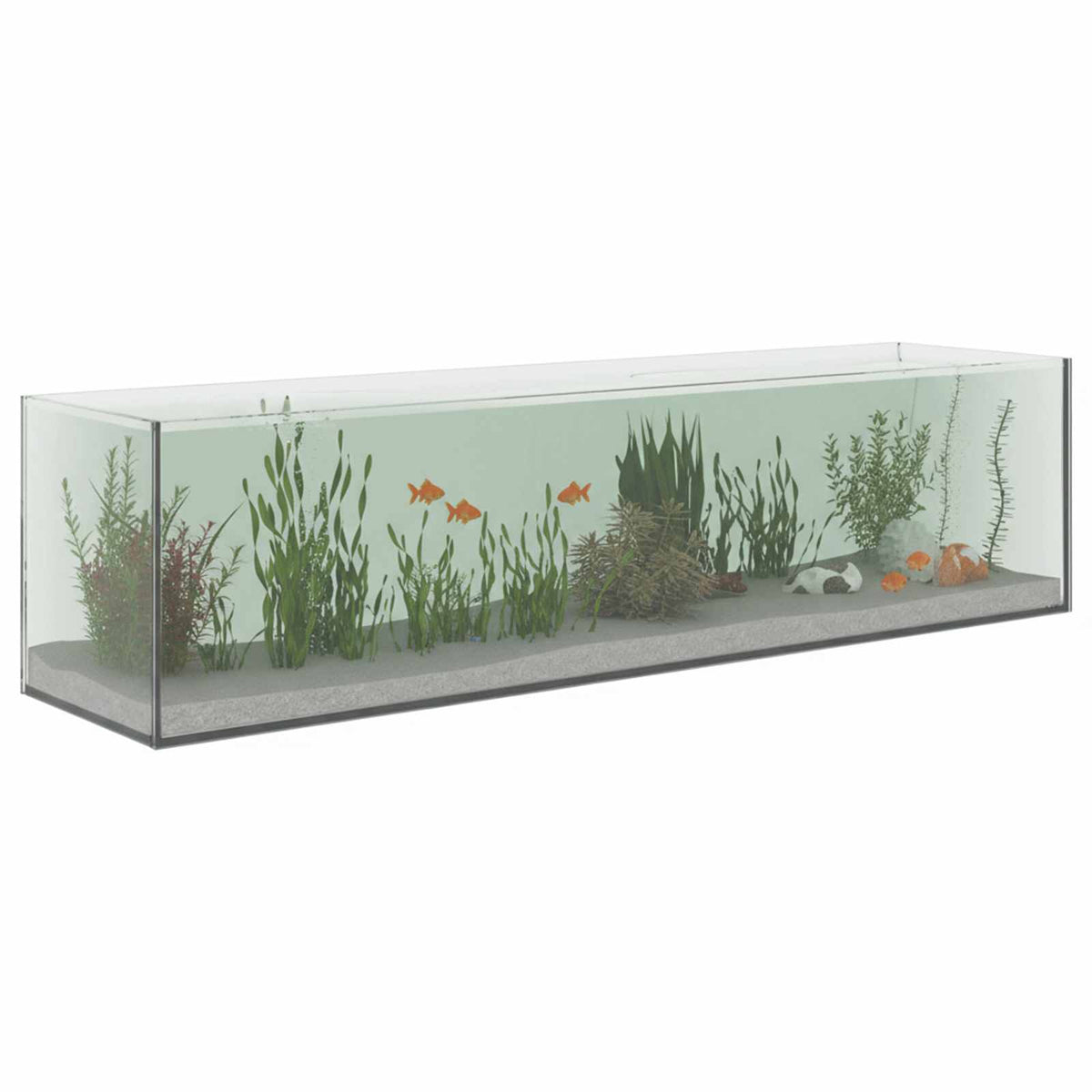 Akvarij s pohranom *Transparent*an 80 x 20 x 20 cm Stakl