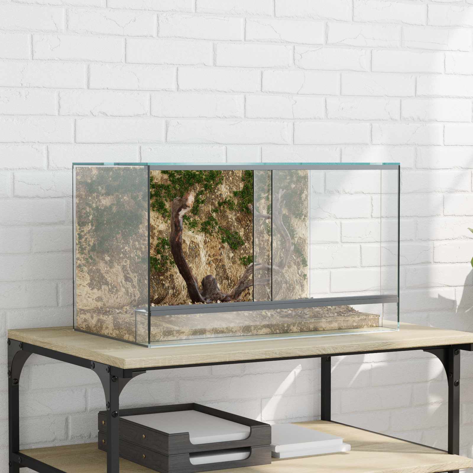Terarij s pohranom *Transparent*an 50 x 30 x 30 cm Stakl
