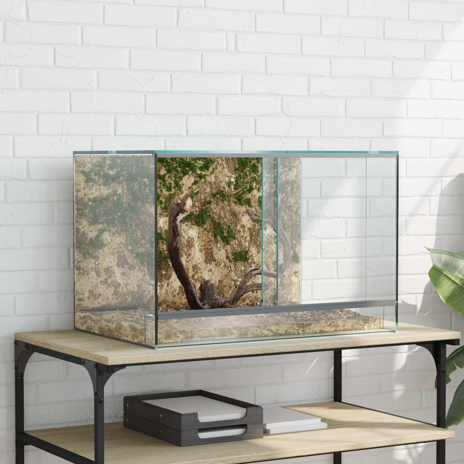 Terarij s pohranom *Transparent*an 60 x 40 x 40 cm Stakl
