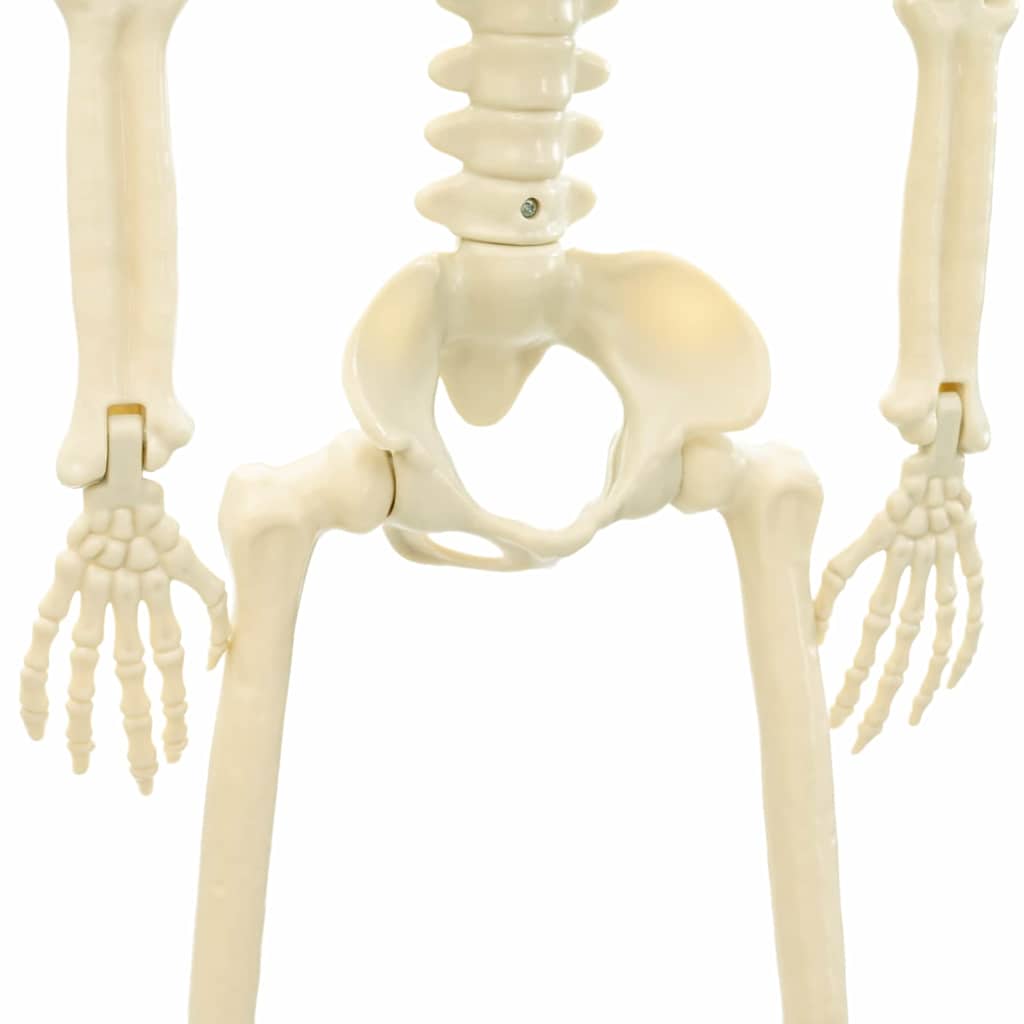 Halloween Skelet 2 pcs Bijelo 85 cm PVC