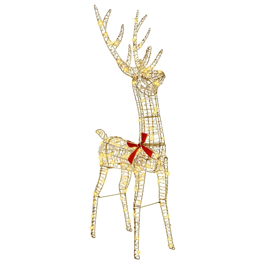 3D Ruzvelt 140 LED lampica Topla bijela 128 cm PET