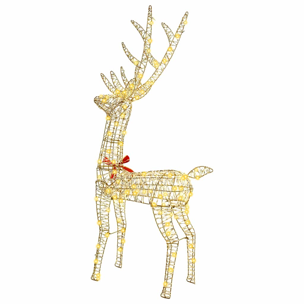 3D Ruzvelt 140 LED lampica Topla bijela 128 cm PET