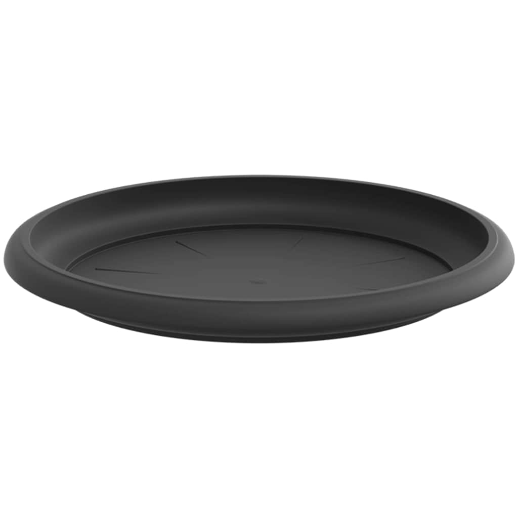 Kružni Pladanj za Cvijeće 6 pcs Crna Ø 17,5 x 2 cm Plastika