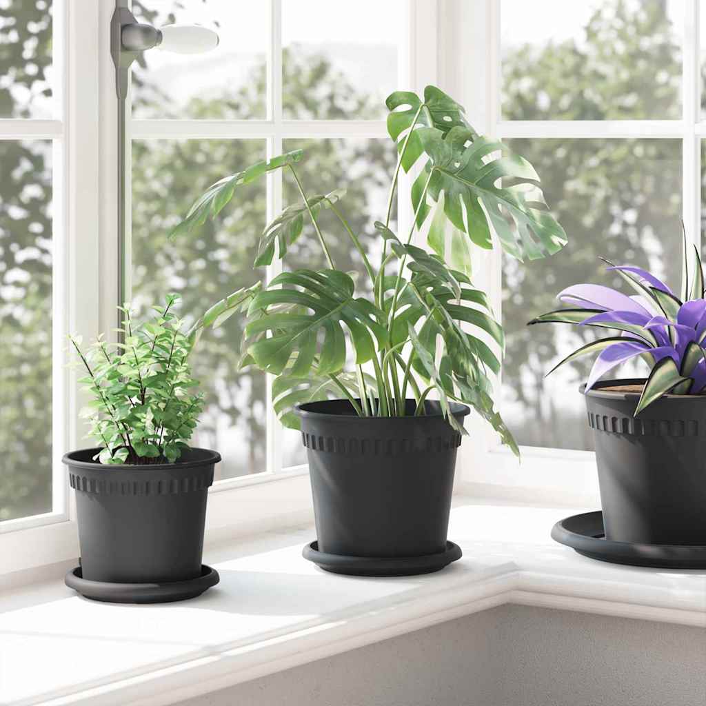Kružni Pladanj za Cvijeće 24 pcs Crna Ø 15,5 x 2 cm Plastika