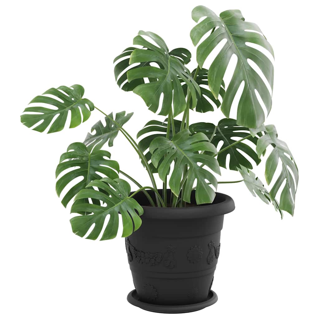 Kružni Pladanj za Cvijeće 24 pcs Crna Ø 19 x 2 cm Plastika