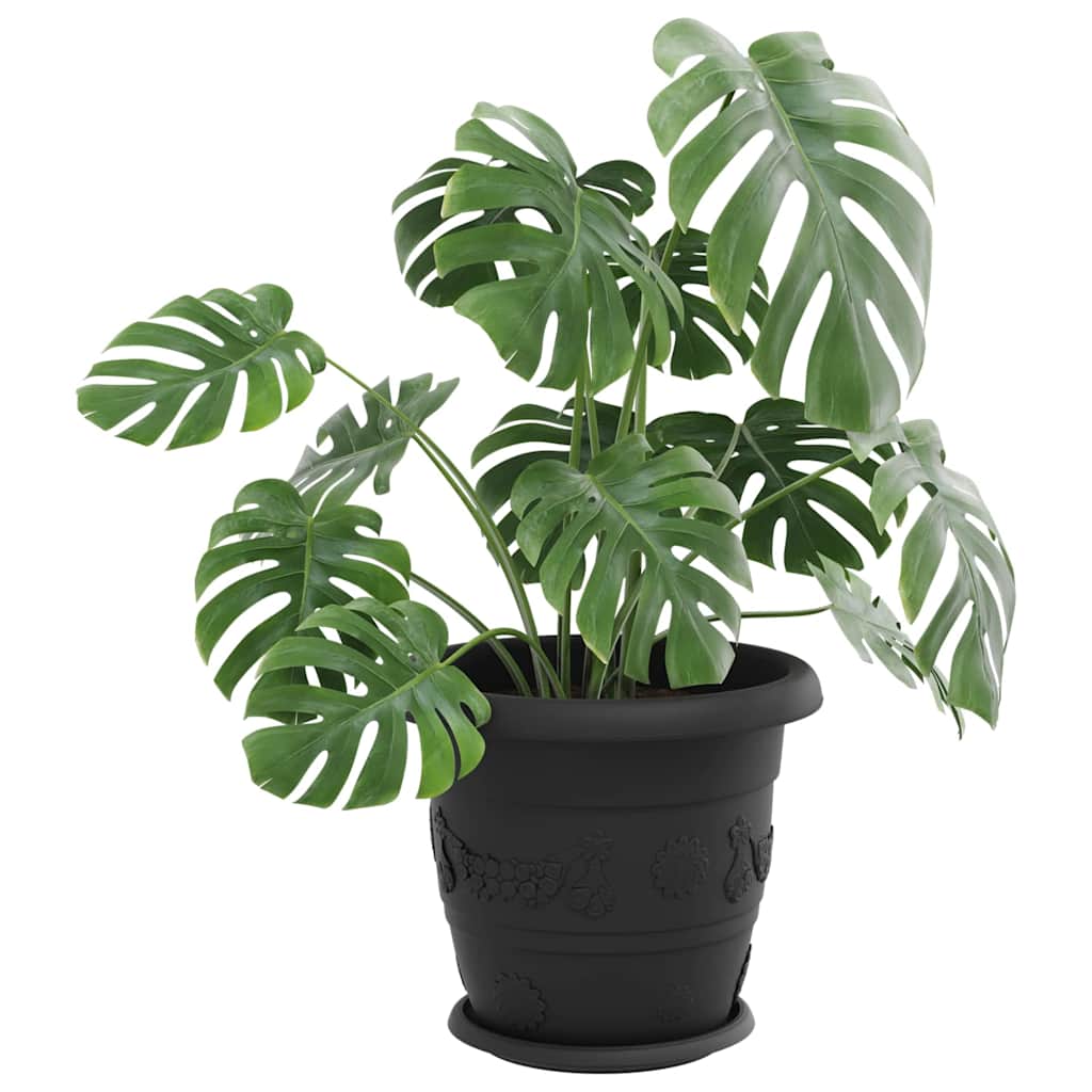 Kružni Pladanj za Cvijeće 24 pcs Crna Ø 23,5 x 2,5 cm Plastika