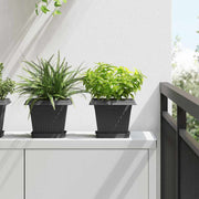 Kvadratna saksija za cvijeće 6 pcs Crna 20 x 20 x 16 cm