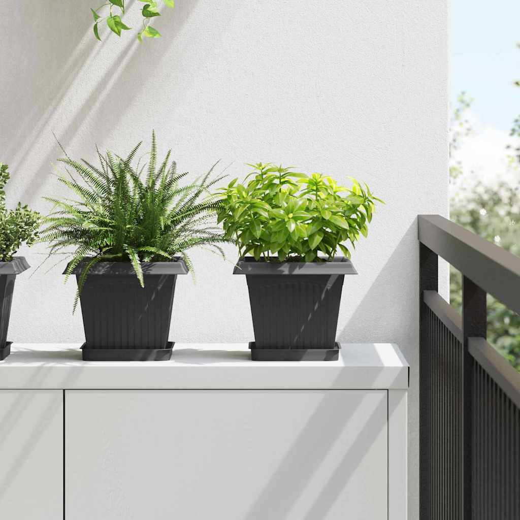 Kvadratna saksija za cvijeće 6 pcs Crna 20 x 20 x 16 cm