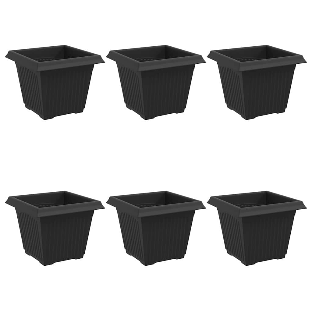 Kvadratna saksija za cvijeće 6 pcs Crna 20 x 20 x 16 cm