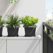 Kvadratna posuda za cvijeće 24 pcs Crna 18 x 18 x 2 cm Plastika