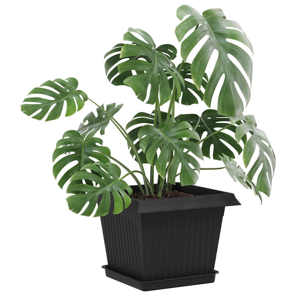 Kvadratna posuda za cvijeće 24 pcs Crna 18 x 18 x 2 cm Plastika