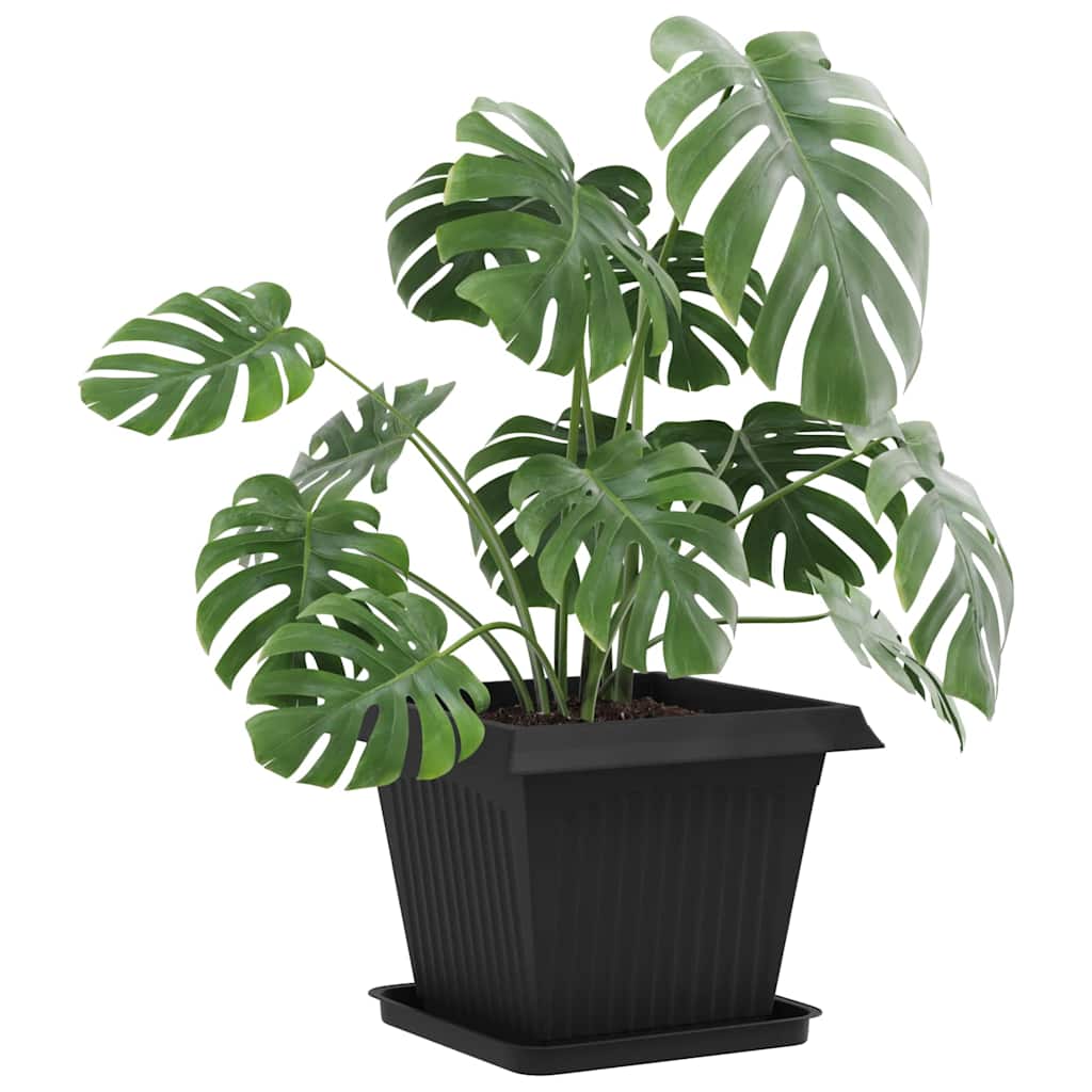 Kvadratna posuda za cvijeće 24 pcs Crna 36 x 36 x 2.5 cm