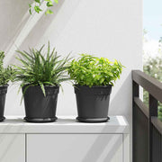 Saksije za biljke 6 pcs Crna Ø 19 x 16 cm Plastika