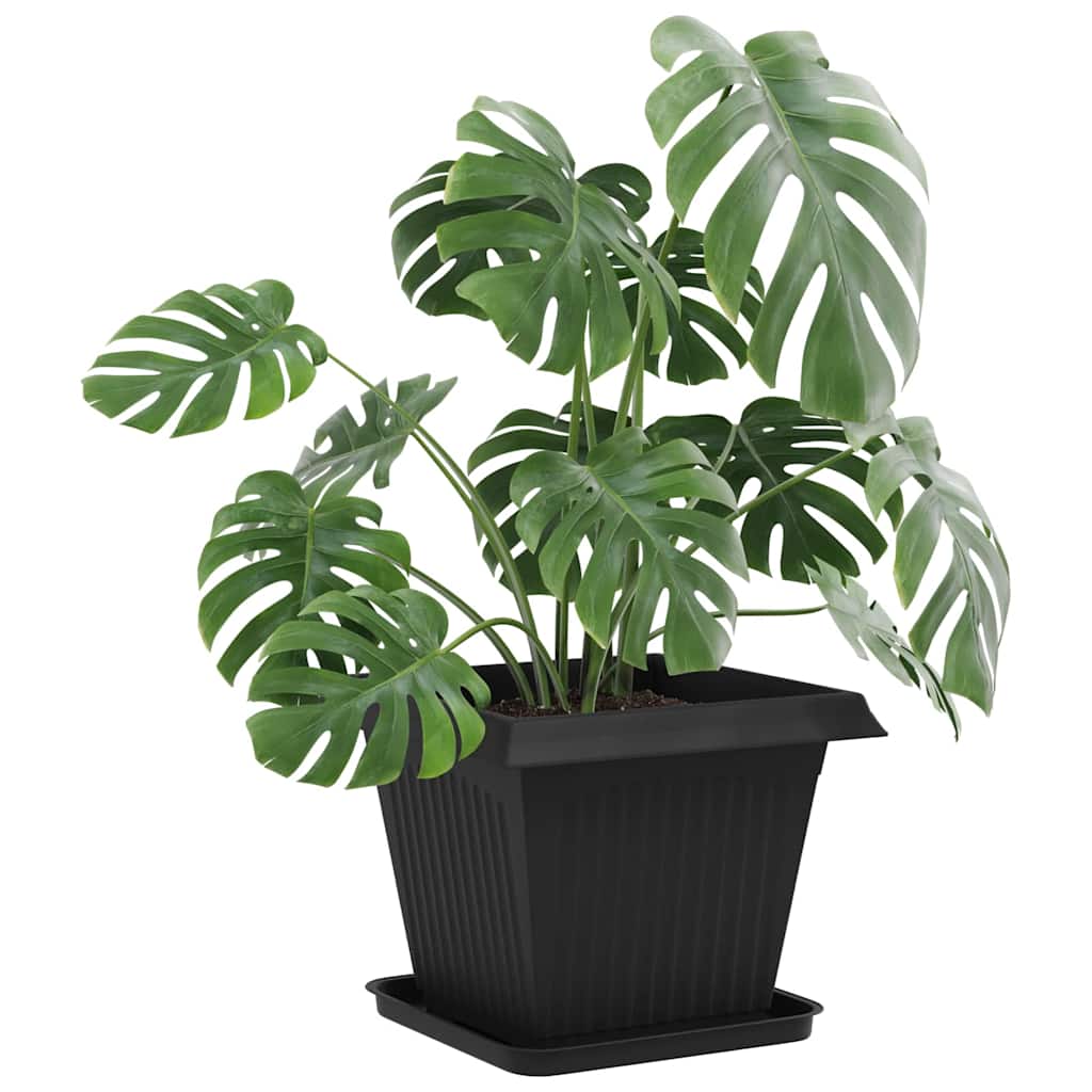 Saksije za biljke 6 pcs Crna 38 x 38 x 30 cm Plastika