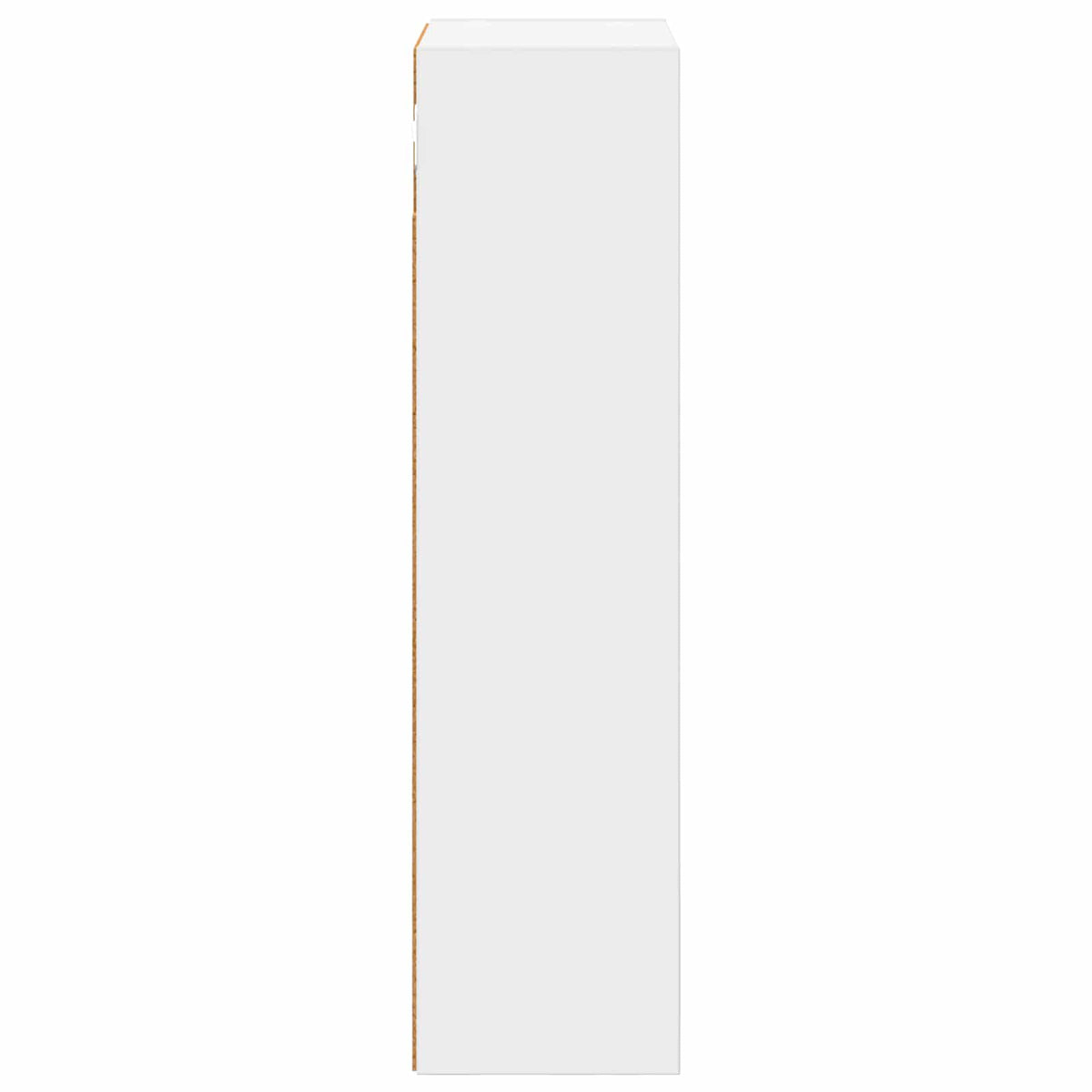 Kupaonski zidni ormarić s policom Bijeli 30 x 16 x 62,5 cm