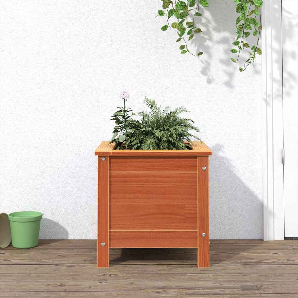 Vrtna saksija Vosak smeđa 40 x 40 x 39 cm Čvrsto borovo drvo