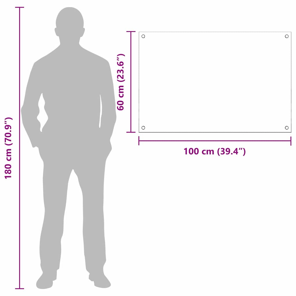 Kuhinjski zid 2 pcs *Transparent*an 100 x 60 cm