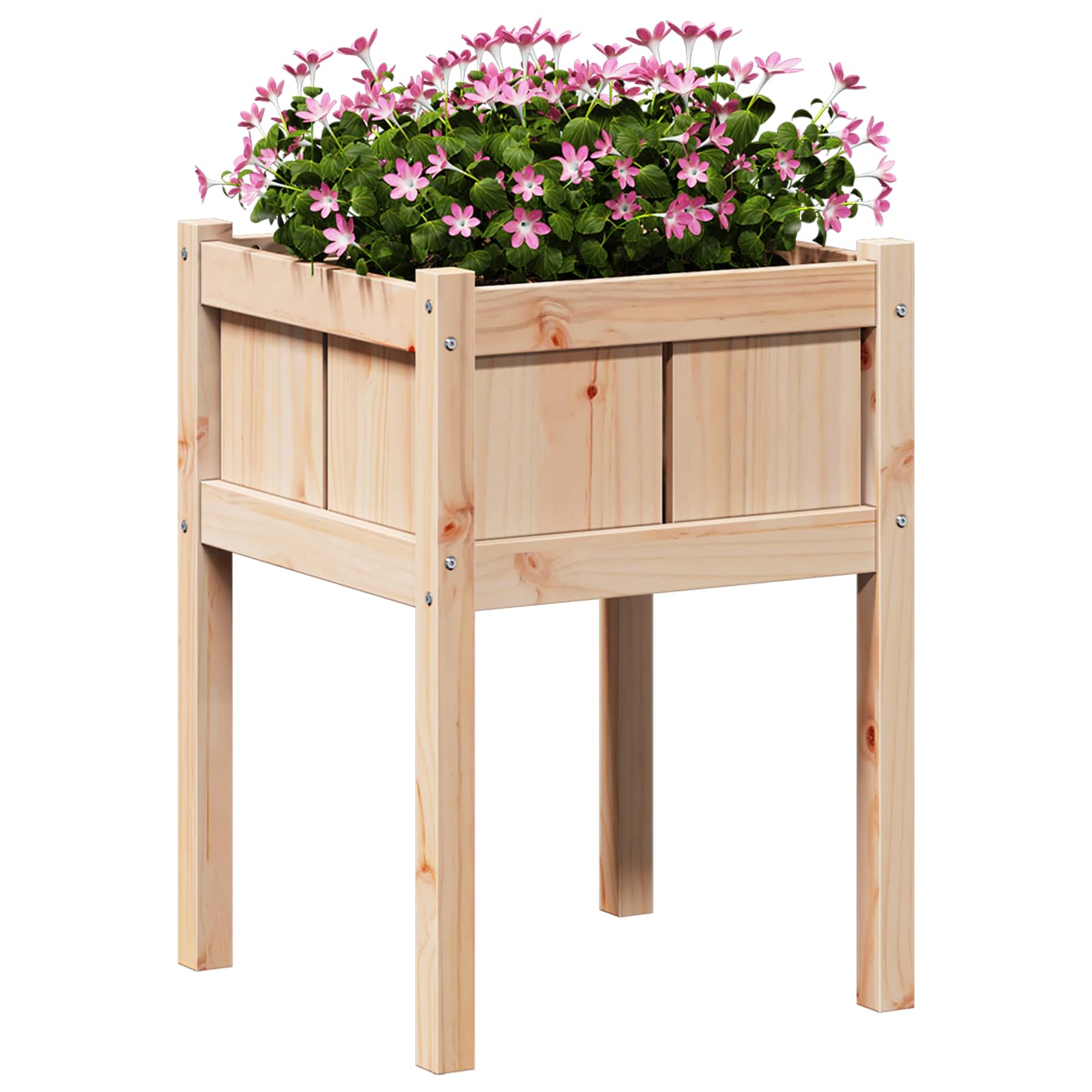 Vrtna saksija Priroda 50 x 50 x 70 cm Čvrsto borovo drvo