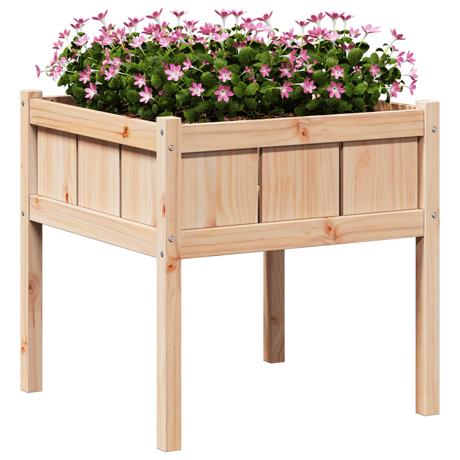 Vrtna saksija Priroda 70 x 70 x 70 cm Čvrsto borovo drvo