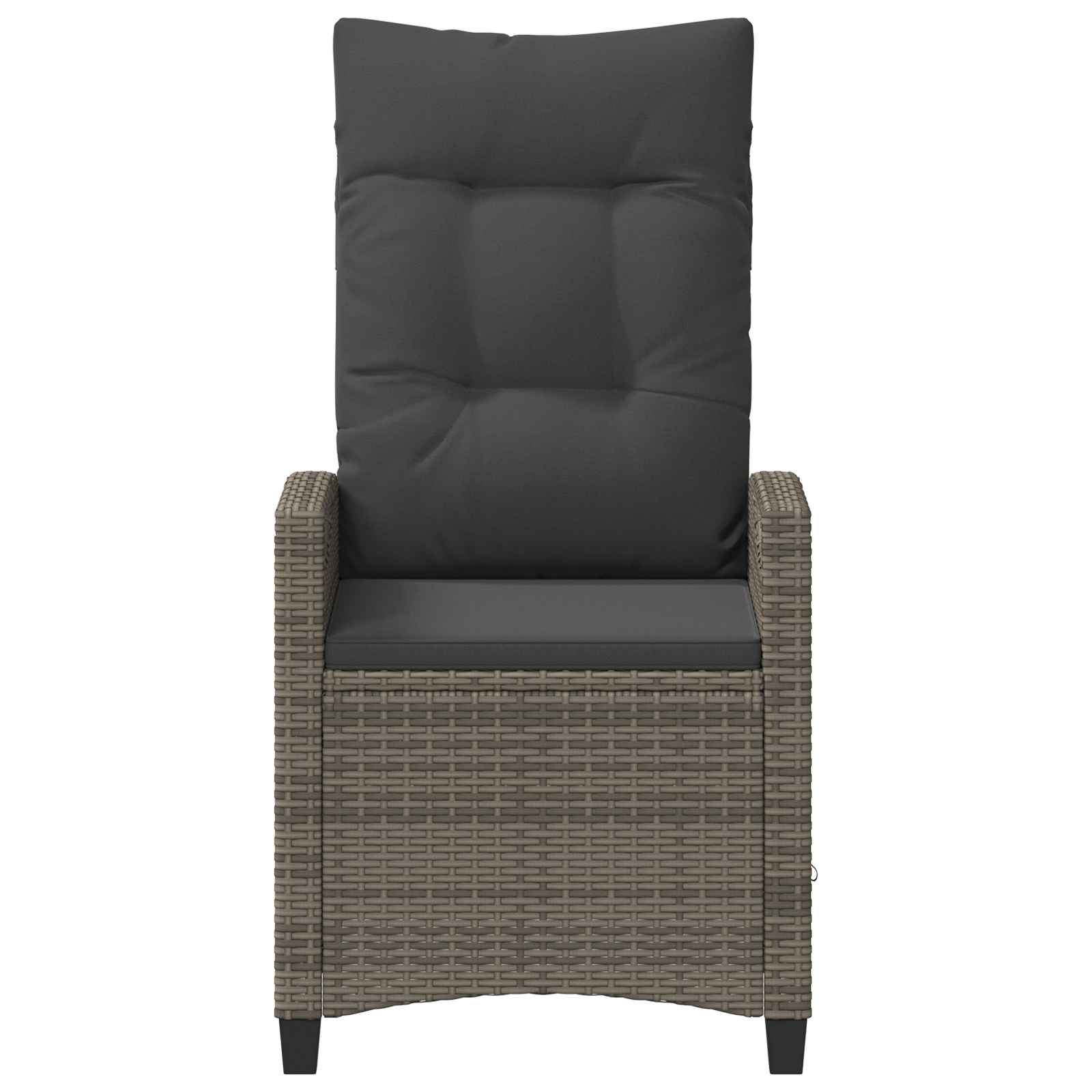 Vrtna stolica 2 pcs Siva i tamno siva 56 x 60 x 112 cm