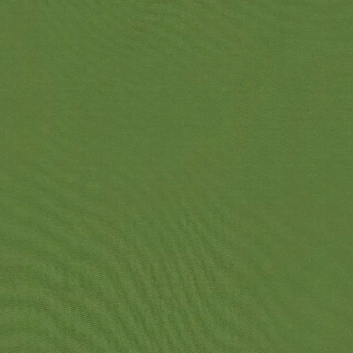 Zimska pokrivača Šonerisan Zelena 240 x 260 cm Mikrovlakna