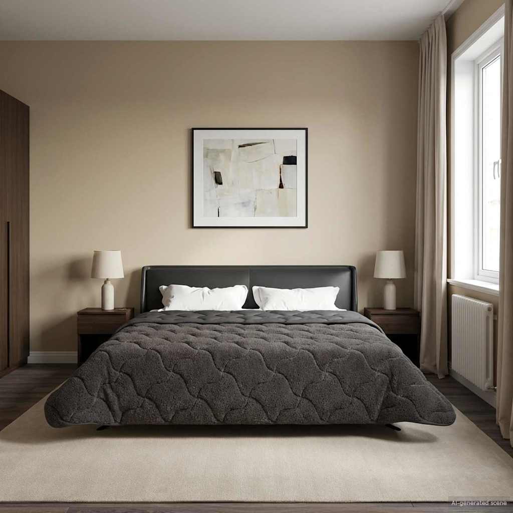 Ljetni pokrivač Antracit 200 x 240 cm Mikrofibra i teddy flis