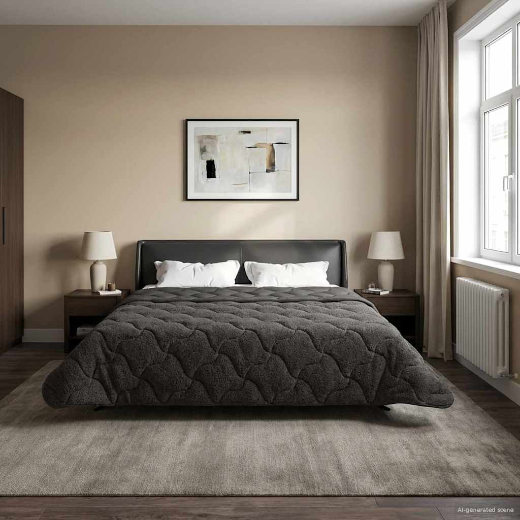 Ljetni pokrivač Antracit 220 x 240 cm Mikrofibra i teddy flis