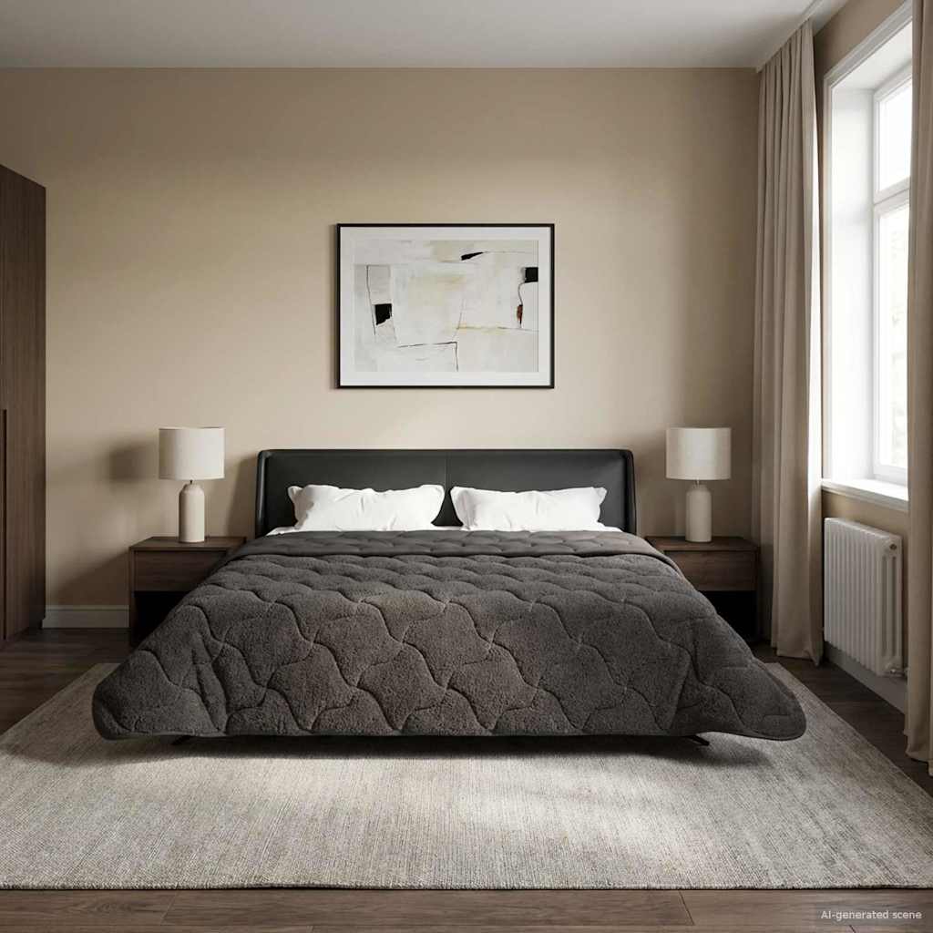 Ljetni pokrivač Antracit 220 x 260 cm Mikrofibra i teddy flis