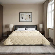 Ljetni pokrivač Krema 200 x 220 cm Mikrofibra i teddy flis