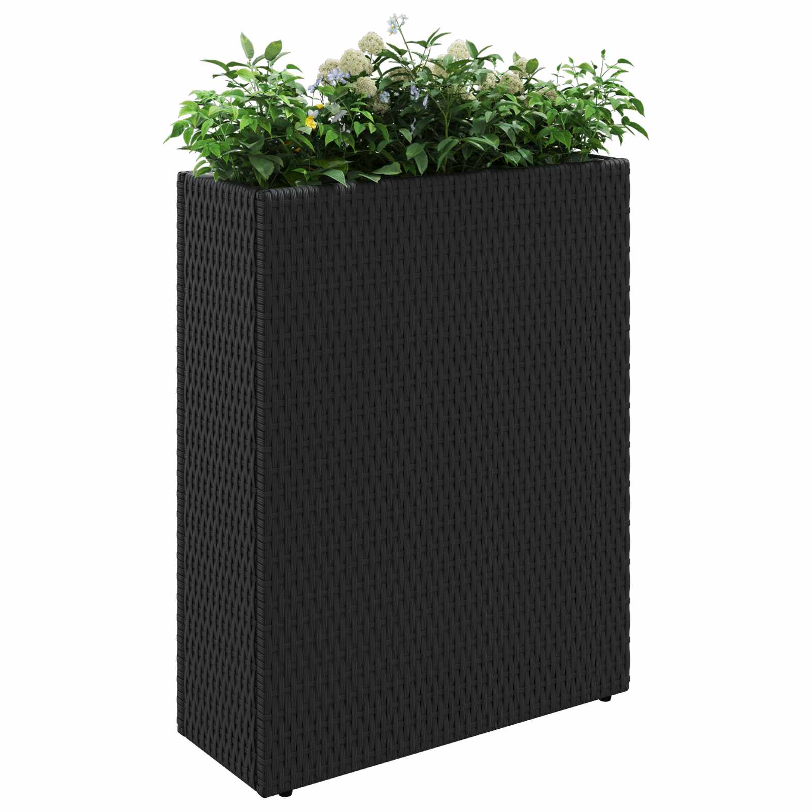 Visoki saksija Crna 55 x 22 x 70 cm poliratan
