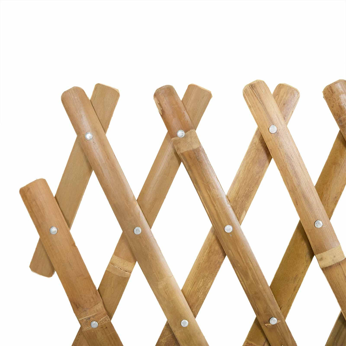 Proširiva rešetkasta ograda 2 pcs Svijetlosmeđa 100 x 105 cm