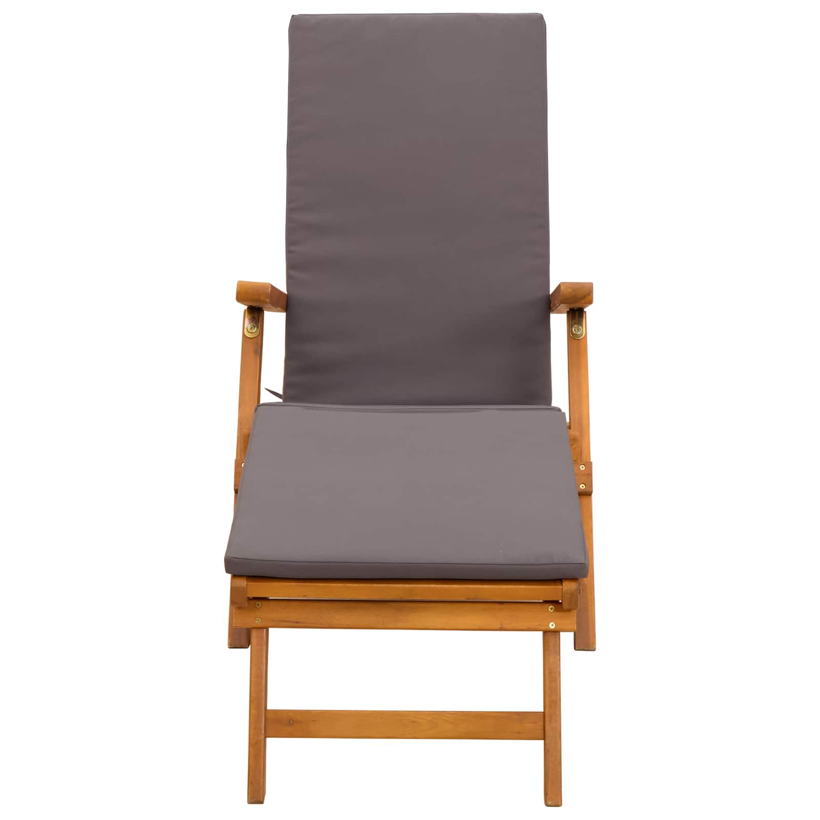 Ležaljka koja se može preklopiti i nagnuti 2 pcs Siva