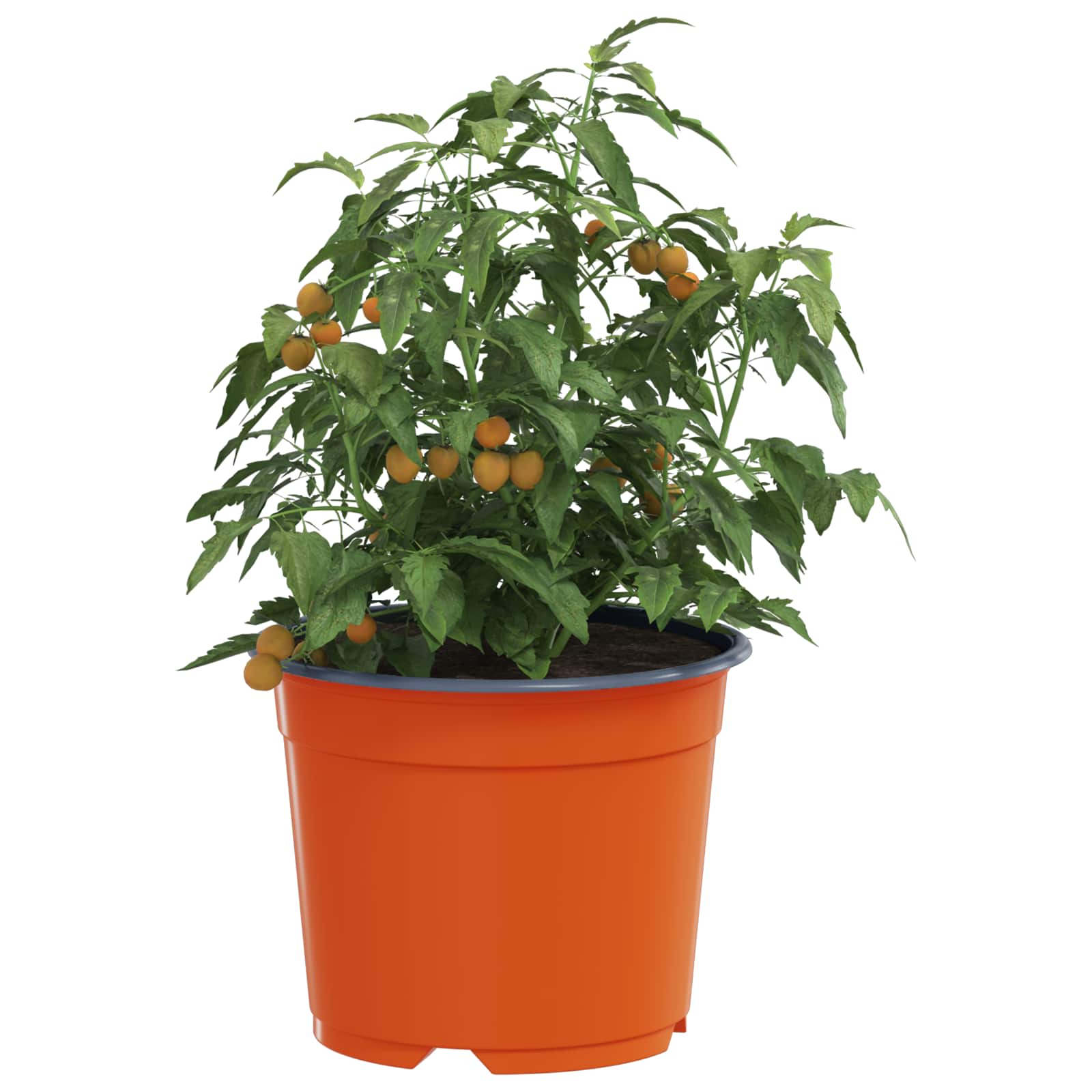 Okrugla saksija za cveće 100 pcs Terakota Ø 10 x 8 cm Plastika