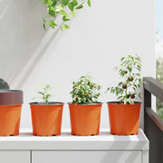 Lonac za cvijeće 200 pcs Terakota Ø 15 x 13 cm Plastika