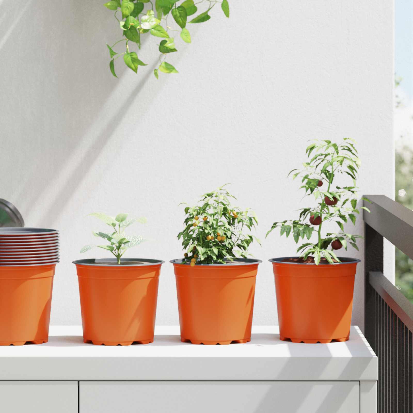 Lonac za cvijeće 200 pcs Terakota Ø 15 x 13 cm Plastika