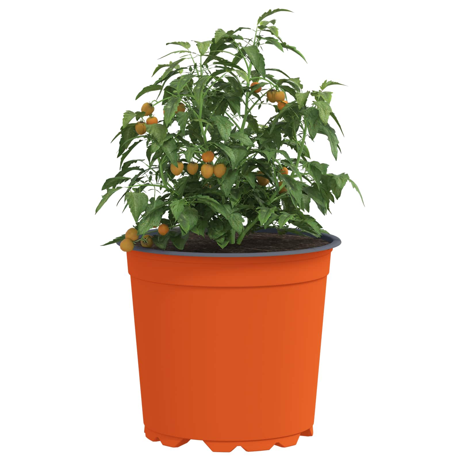 Lonac za cvijeće 200 pcs Terakota Ø 15 x 13 cm Plastika