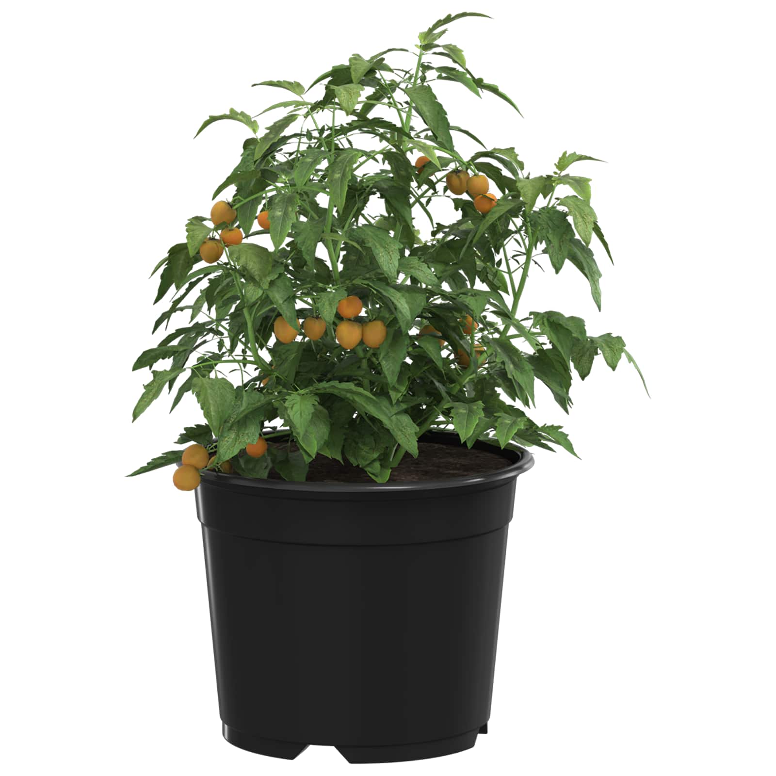 Okrugla saksija za cveće 200 pcs Crna Ø 10 x 8 cm Plastika