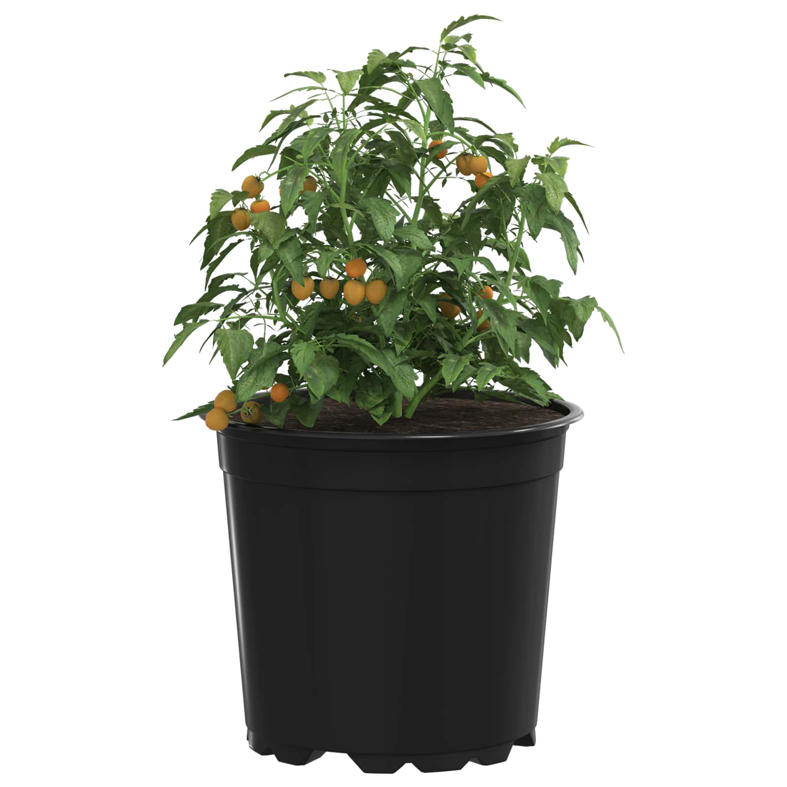 Lonac za cvijeće 200 pcs Crna Ø 15 x 13 cm Plastika