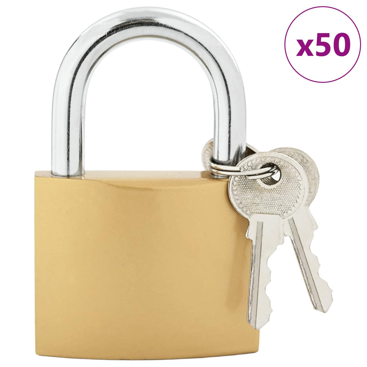 U zaključavanje s ključevima 50 pcs Mjed Željezo