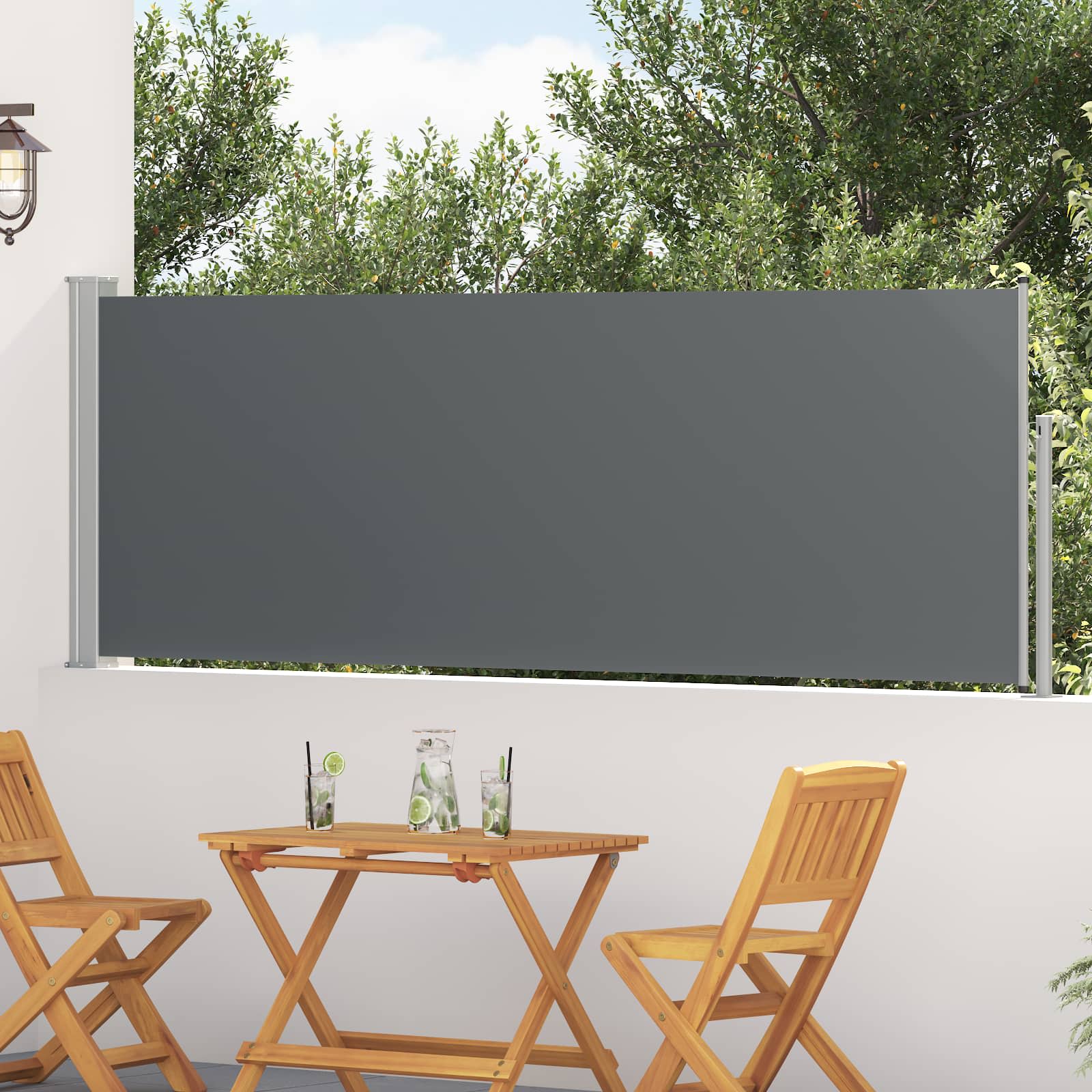 Retraktabilna bočna tende Antracit 300 x 100 cm Poliester