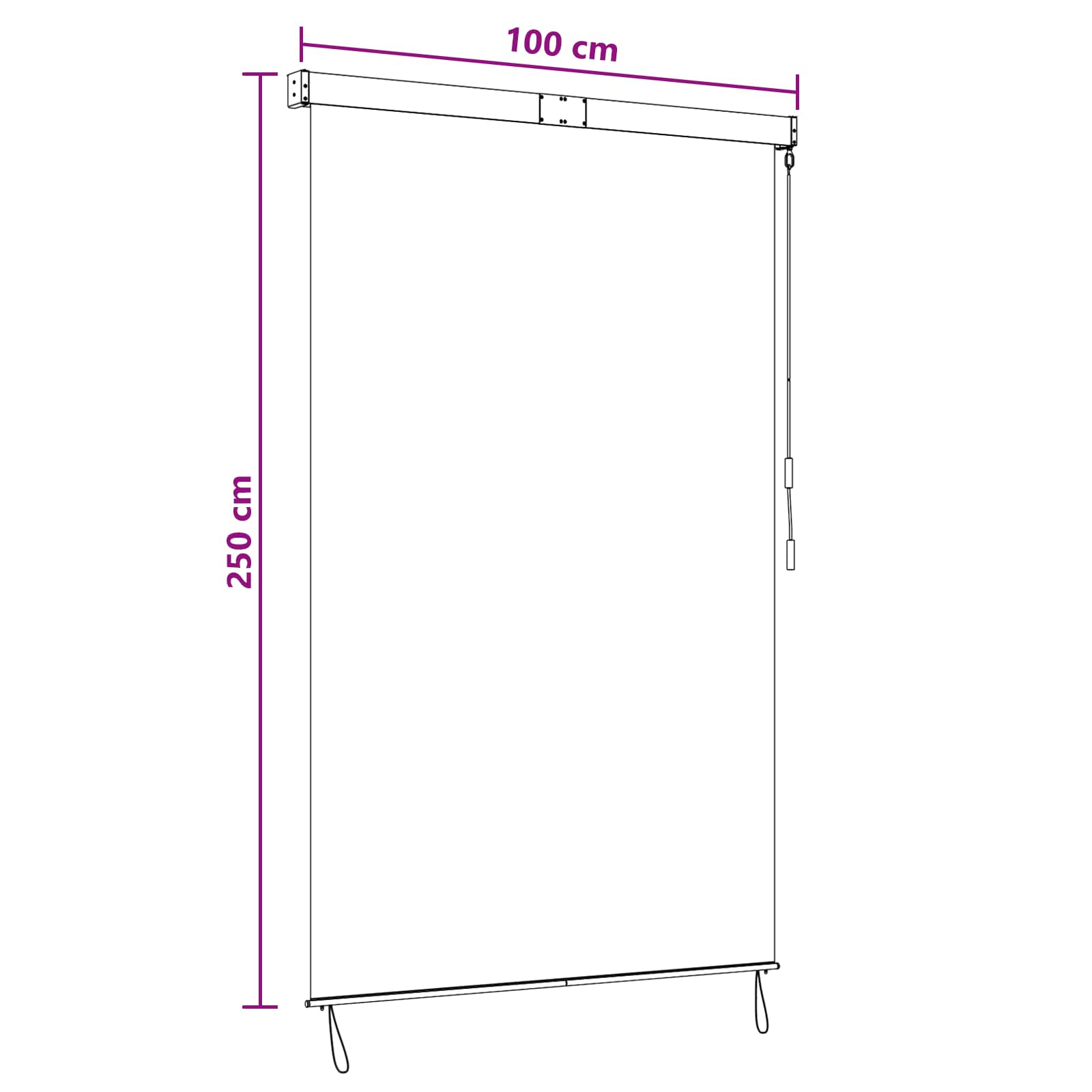 Rolo zavjesa Svjetlosiva 100 x 250 cm Tkanina i aluminij