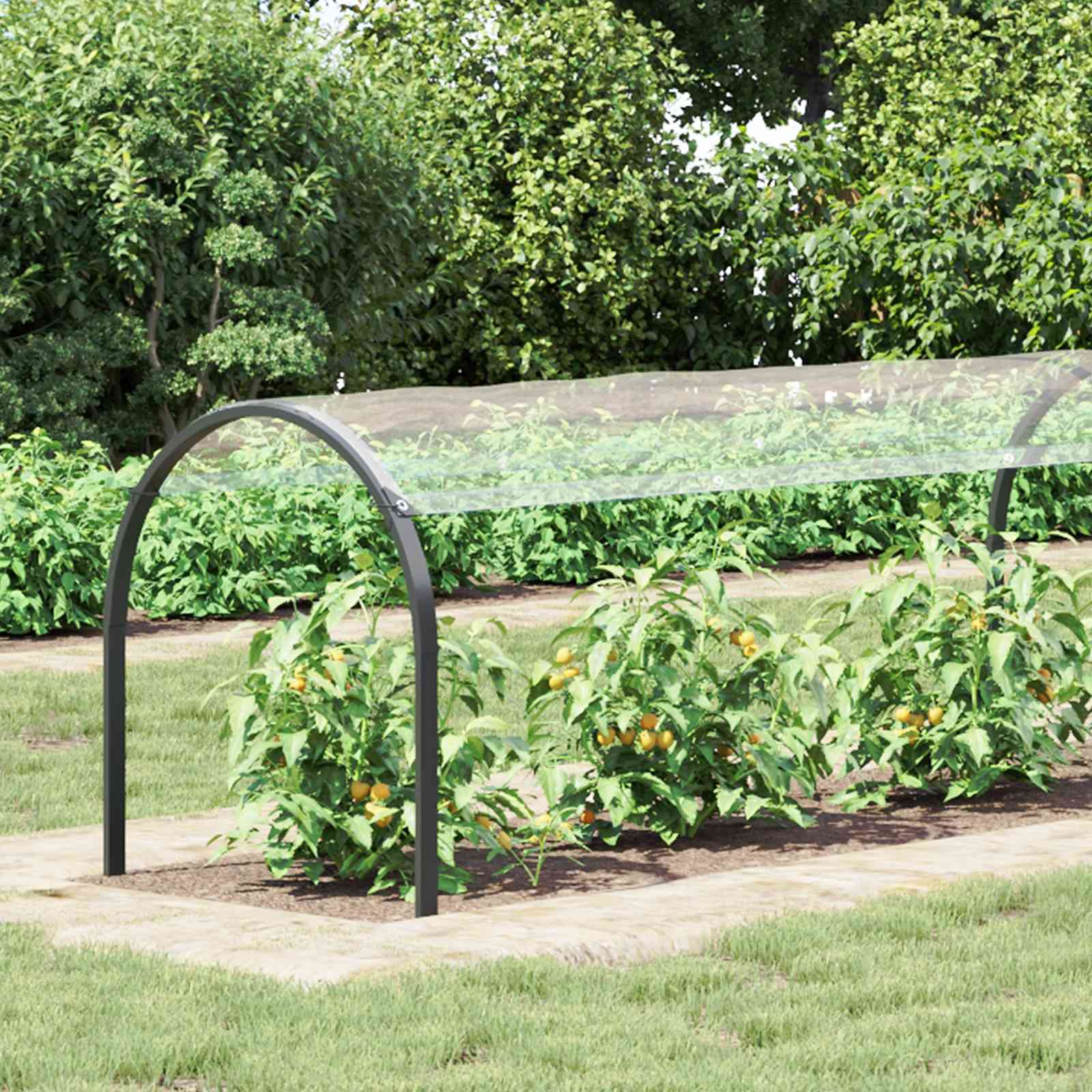 Pokrov za biljke *Transparent*an 1 x 12 m PVC