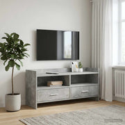 TV ormar 100 x 33 x 47 cm Konstruirano drvo