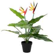 Umjetna Strelitzia Biljka Zelena 65 x 13 x 55 cm