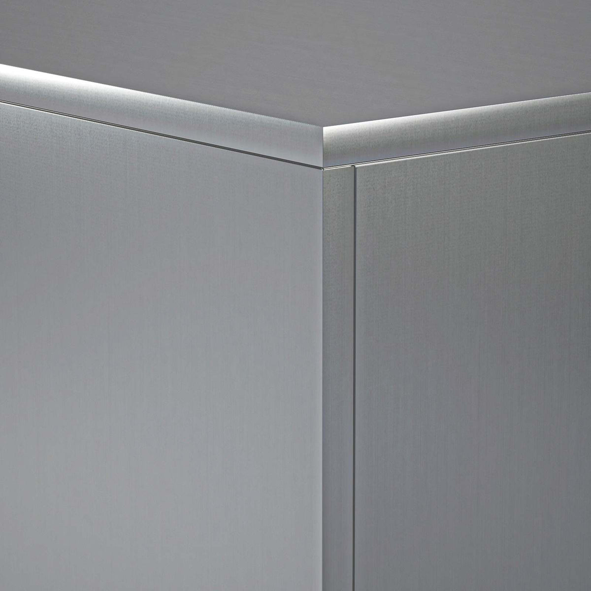 Stalak za biljke 2 pcs Srebrna 40 x 40 x 100 cm