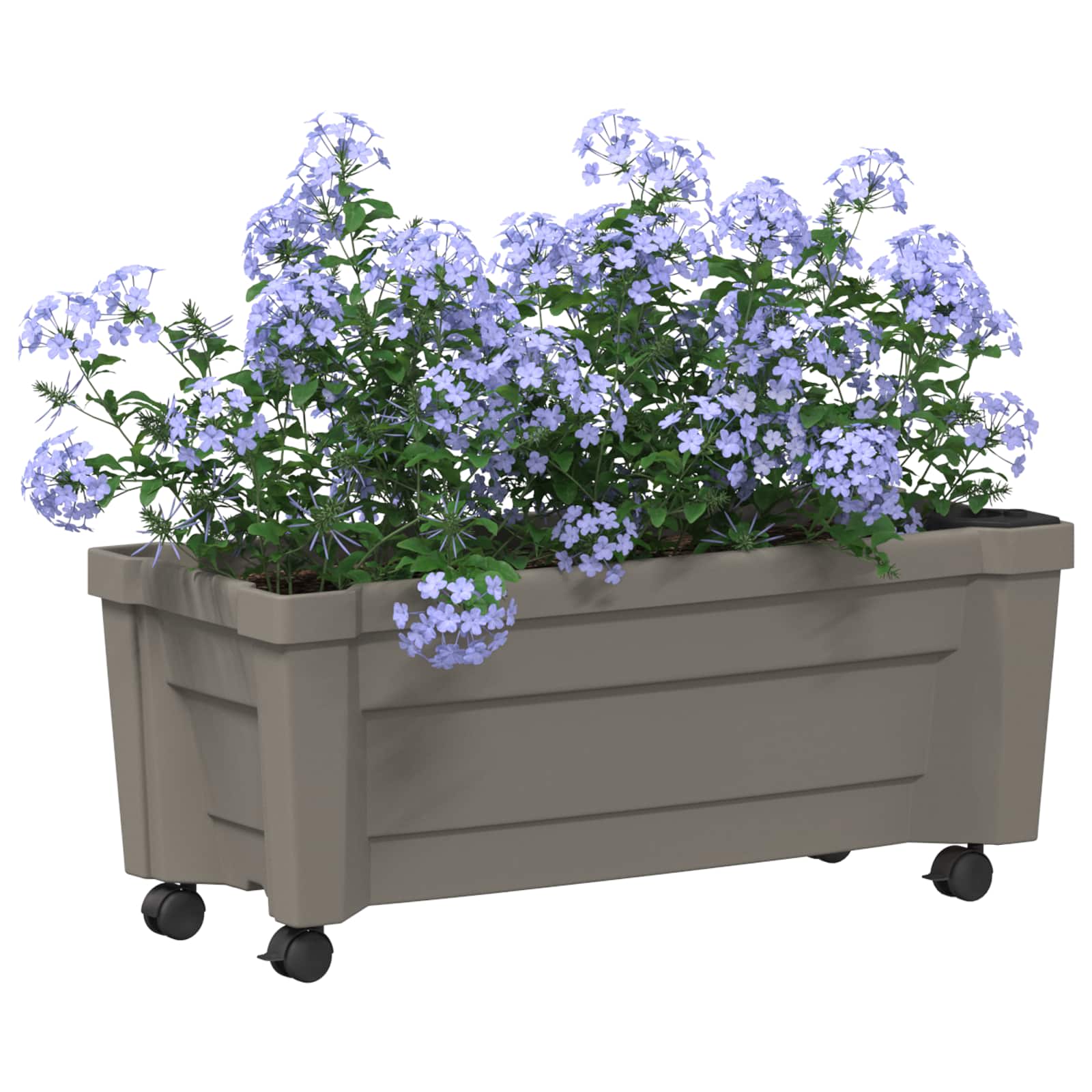 Calypso saksija s kotačima Siva 79 x 35 x 33 cm PP