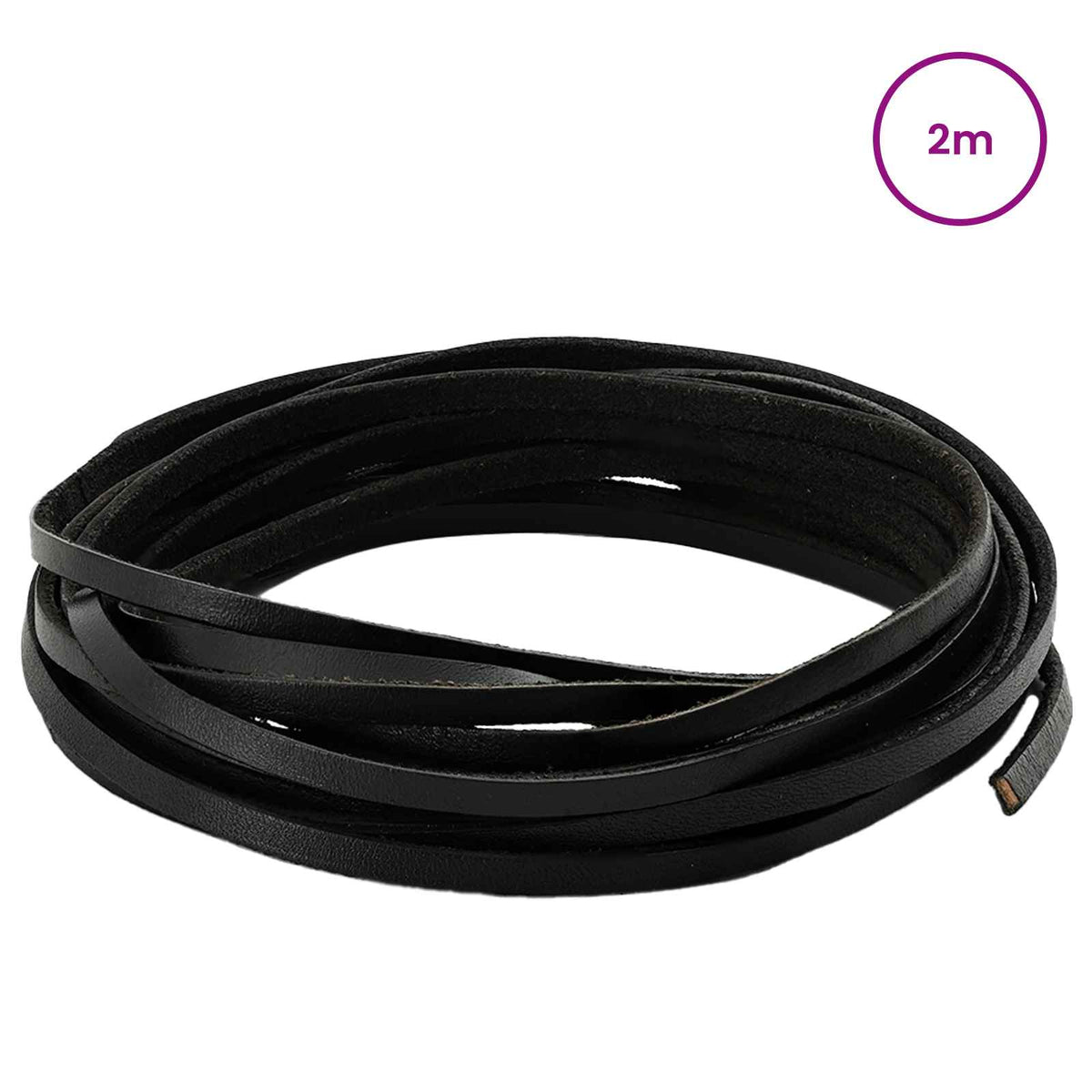 Kožni Remen Crna 200 x 0,4 cm Koža