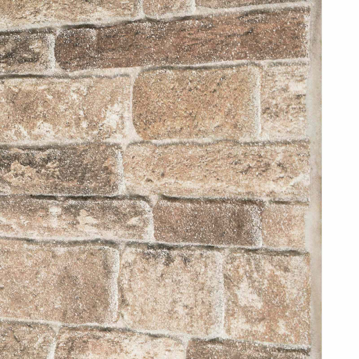 Zidne panele 10 pcs Šareni 100 x 50 cm EPS pjena